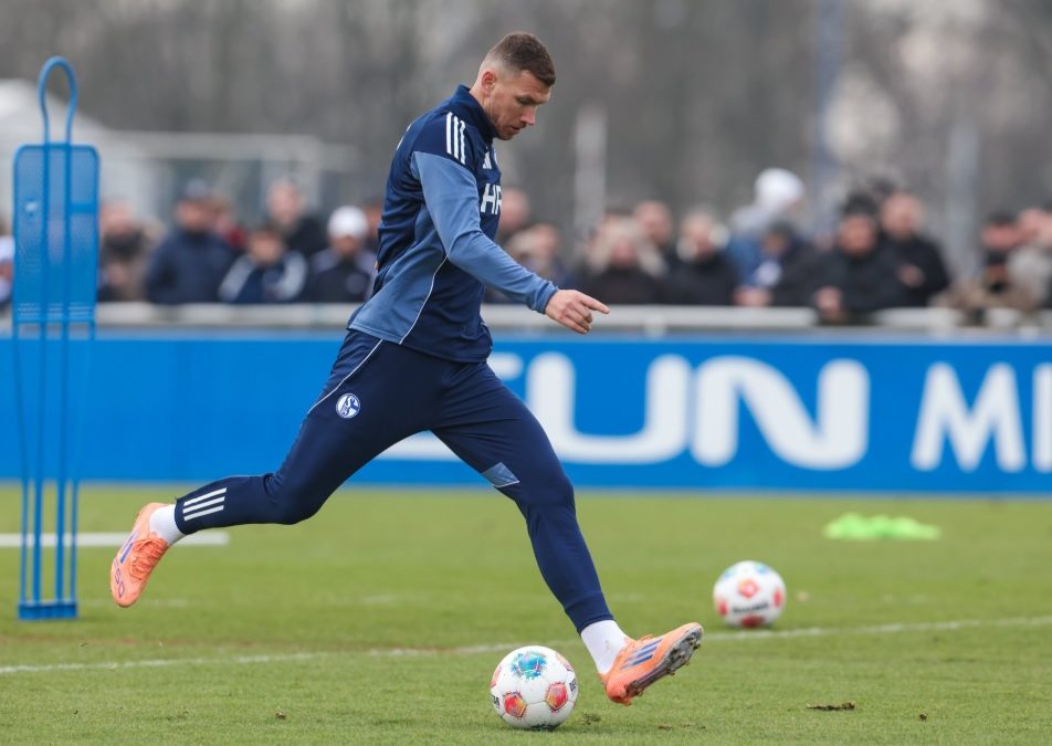 Objavljene brojke: Edin Džeko se već isplatio Schalkeu